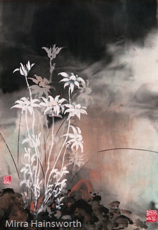 25 Flannel Flowers after the fire.jpg