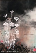 25 Flannel Flowers after the fire.jpg